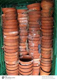 discarded terracotta flower pots in