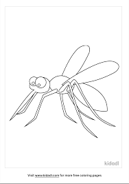 Select from 35915 printable coloring pages of cartoons, animals, nature, bible and many more. Water Insect Coloring Pages Free Bugs Coloring Pages Kidadl