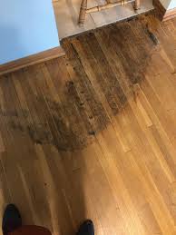 do my floors have pet damage or water