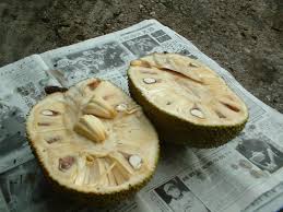nutritional benefits of jackfruit