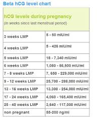 I Am Pregnant Beta Hcg Level Chart
