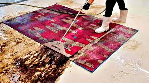 perfect carpet cleaning i like these