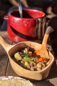 instant pot venison stew venison for