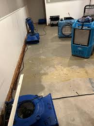 water removal services in grand rapids mi