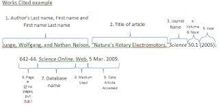 MLA In Text Citation Magazine   Newspaper Web Articles   YouTube 