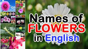 In this lesson, we will examine the topic of flower names in english. Names Of Flowers In English Types Of Flowers Youtube