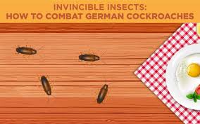 german roaches lloyd pest control