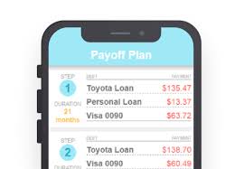 It may save you time and money over the course of. Overview Debt Payoff Planner And Payment Tracker