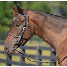 two horse tack halter bridle with bit