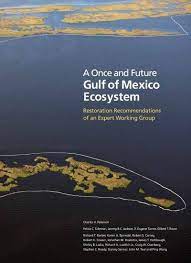gulf of mexico ecosystem archie carr
