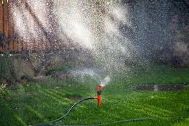 Automatic Garden Sprinkler Backyard