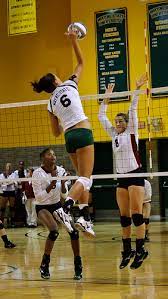 learn the 6 basic skills in volleyball