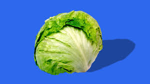 is iceberg lettuce healthy plus