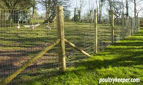 Poultry Fencing