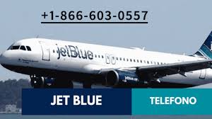 Both the jetblue plus card and jetblue business card have an annual fee of $99. Jetblue En Espanol Telefono 1 844 913 1680 Reservaciones