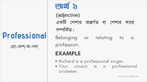 professional meaning in bengali