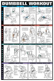 Chart Series Ii Dumbell Exercise Chest Biceps Triceps