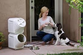 7 best dog food containers 2023