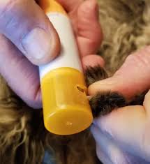 I really have to praise how safe/calming hertzo have made this tool. Grinding Your Cat S Nails Catwatch Newsletter