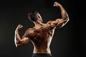 5 Killer Back And Biceps Workouts For Building Muscle