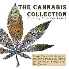 the cans collection coloring book