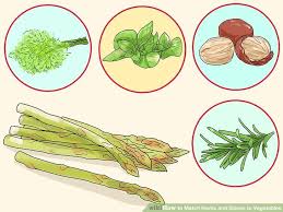 How To Match Herbs And Spices To Vegetables With Pictures