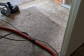 tru blue carpet cleaning pest control