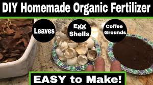 diy homemade organic garden fertilizer