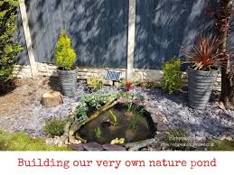 How To Build Nature Wildlife Pond In