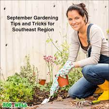 September Gardening Tips And Tricks For