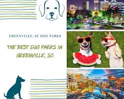 the best dog parks in greenville sc