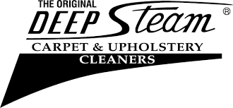 top 10 best upholstery cleaning in san