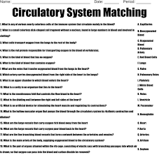 Circulatory System Matching Worksheet