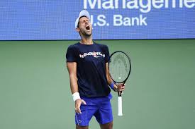 Публикация от novak djokovic (@djokernole) 31 июл 2019 в 10:37 pdt. Novak Djokovic Is Sad And Empty Following Us Open Disqualification Vanity Fair
