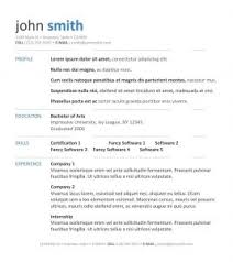    Cool Resume Format For Word Free Templates     Pinterest