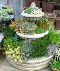 Succulent Gardening Succulents Garden