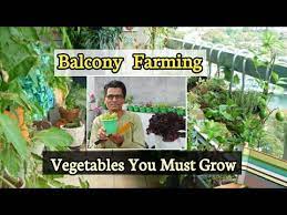 Grow A Vegetable Garden On A Balcony