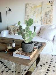 17 Indoor Cactus Gardens Homemydesign