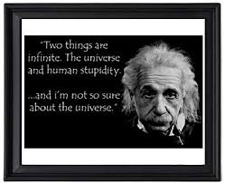 The difference between stupidity and genius is that genius has its limits. 8. Amazon Com Ev Albert Einstein Human Stupidity Quote Picture Frame Poster Print Everything Else