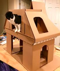 Diy Cat Cottage House Plans Patterns