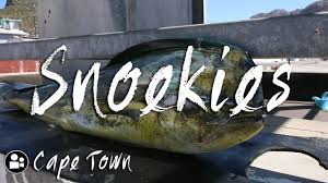 Fishing charters & tours in hout bay. Hout Bay Snoekies Traditional Cape Town Fish Chips Youtube