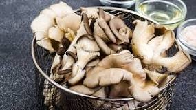 How do you know if king oyster mushrooms are still good?