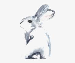 Rabbit Watercolor Painting Transpa