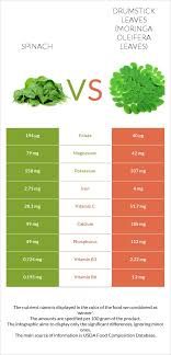 spinach vs drumstick leaves moringa