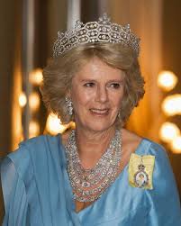 the glorious jewels of camilla the
