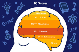 Iq Test Score Chart Enter To Study