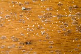 how to remove mold from wood buildeazy