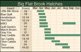 Big Flat Brook Nj Skiddler Diagram Accounting Chart