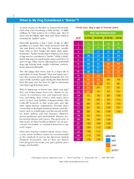 Dog Years Chart 6 Free Templates In Pdf Word Excel Download