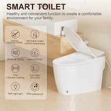 Single Flush Smart Toilet Bidet